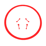 Biomechanics and form mastery icon