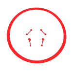 Biomechanics and form mastery icon
